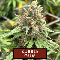 instagram post Hubba Bubba Check out thi