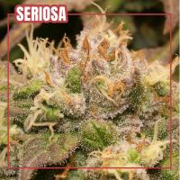 instagram post Crystally goodness on thi